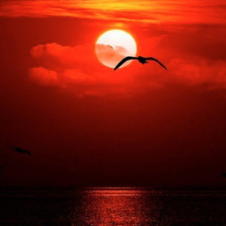 Пазл: Кровавый закат