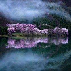 Пазл: Загадочное место