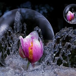 Пазл:  Фантазия