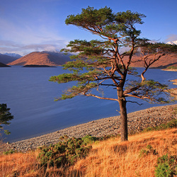 Пазл: Озеро