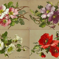 Пазл: Гербарий