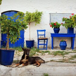 Пазл: Синий Прованс