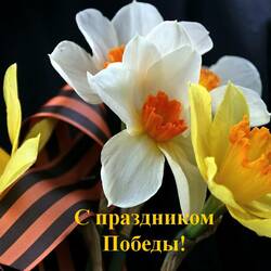 Пазл: Цветы  ветеранам