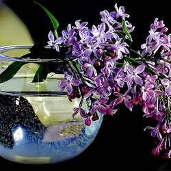 Пазл: Сирень