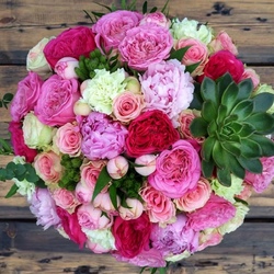 Пазл: Пионы