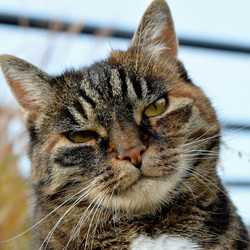 Пазл: Отойдем, поговорить надо...