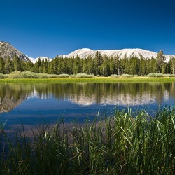 Пазл: Красоты природы