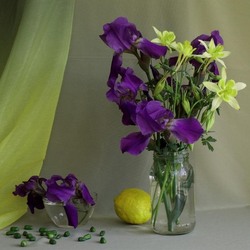 Пазл: Майский букет