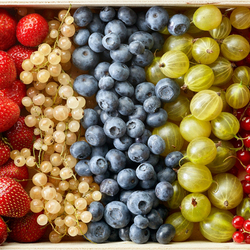Пазл: Ягоды
