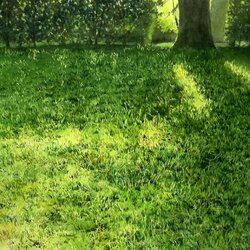 Пазл: Свет на траве