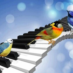 Пазл: Музыка весны