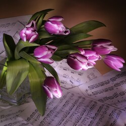 Пазл: Симфония весны