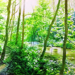 Пазл: Тропинка вдоль реки