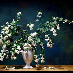 Пазл: Снежноягодник