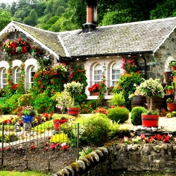 Пазл: Домик в цветах