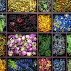 Пазл: Лоток с чаем