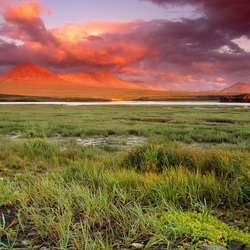 Пазл: Цветное небо