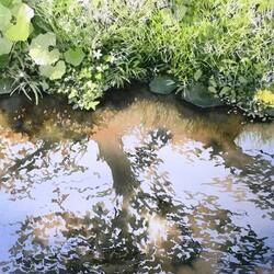 Пазл: Отражение