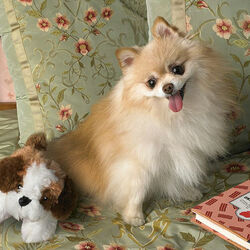 Пазл: Лучшие друзья