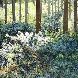 Пазл: Летний день