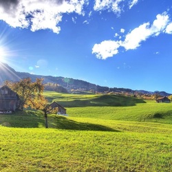 Пазл: Яркое солнце