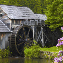 Пазл: Старая мельница