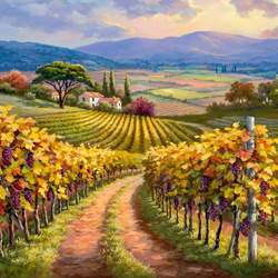 Пазл: Виноградники Тосканы 