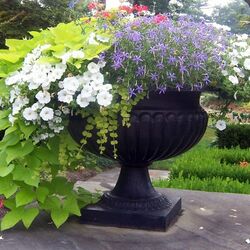 Пазл: В парке