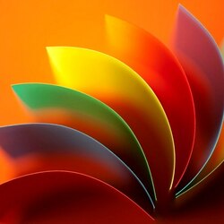 Пазл: Лепестки