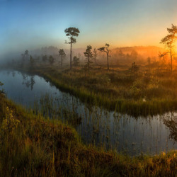 Пазл: Природа России