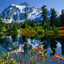 Пазл: Родная природа