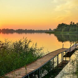 Пазл: Золотое солнце