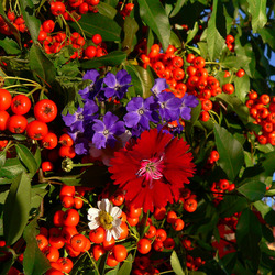 Пазл: Краски лета