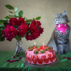 Пазл: День рождения Масяни