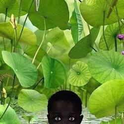 Пазл: Контраст