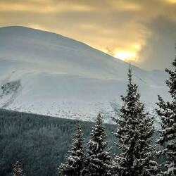 Пазл: Снег среди лета