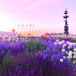 Пазл: Москва в лиловом