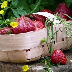 Пазл: Сладкие ягоды