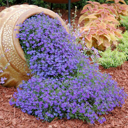 Пазл: Расплескалась синева