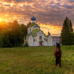 Пазл: Уединение