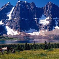 Пазл: Привал