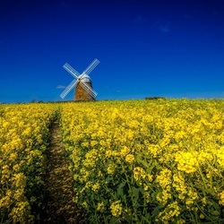 Пазл: Дорожка к мельнице