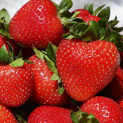 Пазл: Клубника