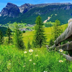 Пазл: Летний день