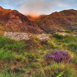 Пазл: Трава у гор