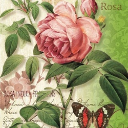 Пазл: Роза и бабочка 
