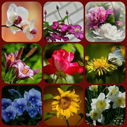 Пазл: Прогулка по саду