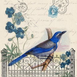 Пазл: Птица 