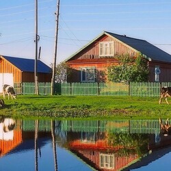 Пазл: Будни сибирского села