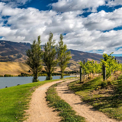 Пазл: Новая Зеландия